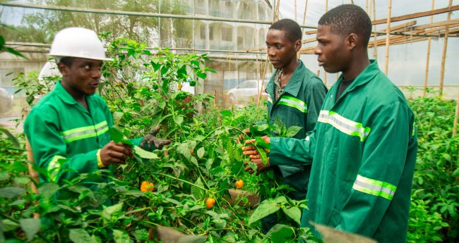 CUIB_School of Agriculture (8)